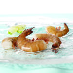 wild-mexican-brown-shrimp-raw-shell-on