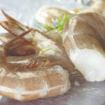 raw-easy-peel-shell-on-white-shrimp