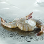 white-shrimp-raw-shell-on