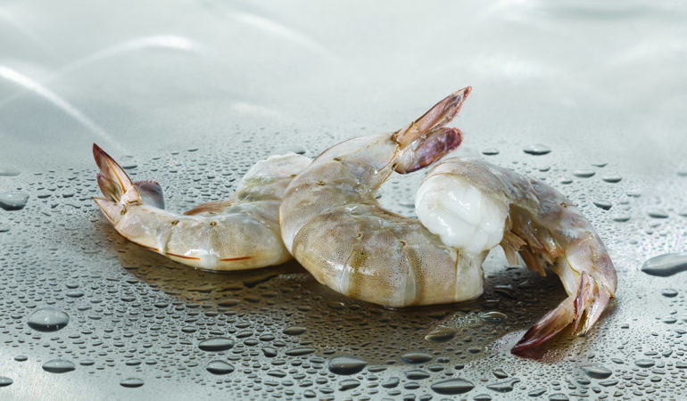 white-shrimp-raw-shell-on