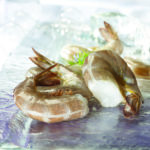 white-shrimp-raw-easy-peel-shell-on
