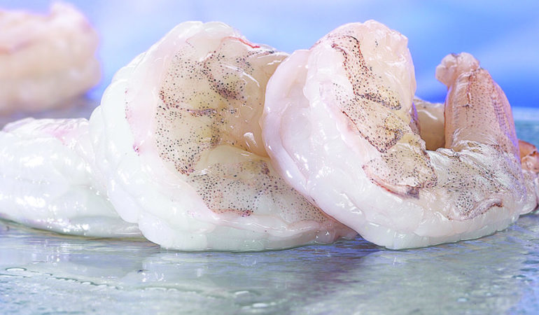 white-shrimp-raw-peeled-tail-off