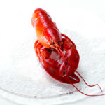 cold-water-whole-lobster-fully-cooked