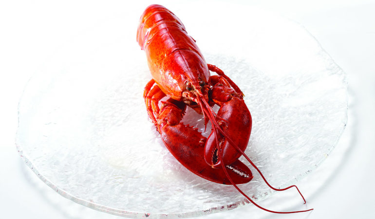 cold-water-whole-lobster-fully-cooked