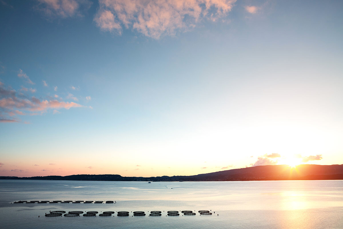 fish-sustainability sourcing-and-sustainability-fish