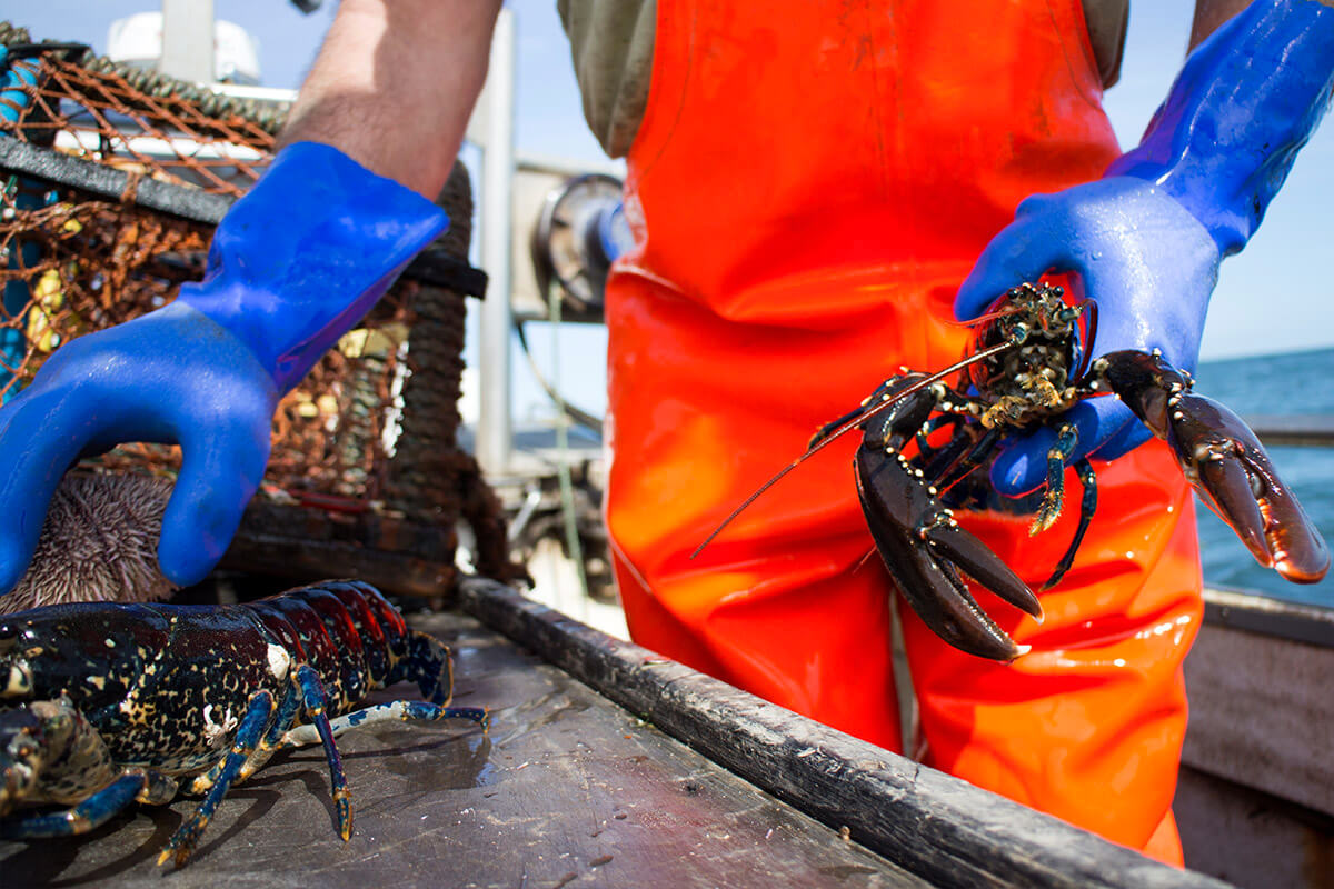 other-seafood-sustainability quality-committment-sustainability