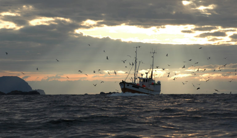 aqua-star-smart-seafood-fishing-boat-in-sunlight