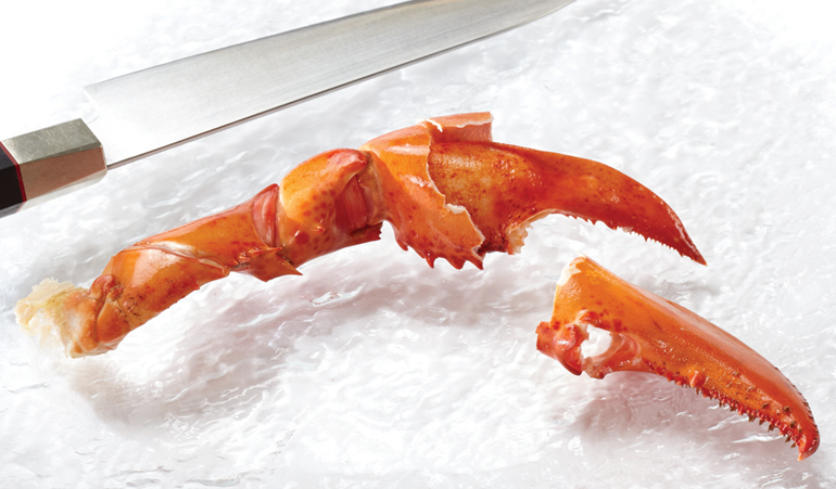 north-atlantic-raw-lobster-claws